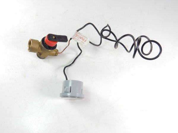 HALSTEAD EDEN CBX24 / CBX32 / CBX38 & SBX30 PRESSURE GAUGE 450961 & VALVE 300734 - Image 3