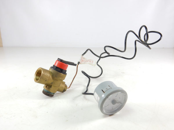 HALSTEAD EDEN CBX24 / CBX32 / CBX38 & SBX30 PRESSURE GAUGE 450961 & VALVE 300734